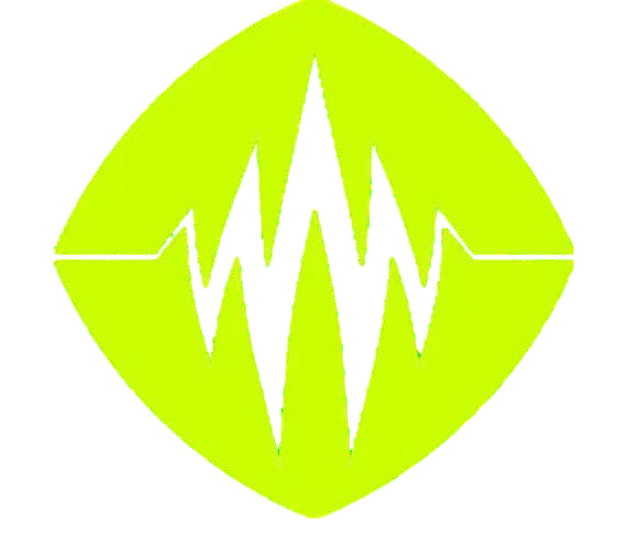 brandpulse logo